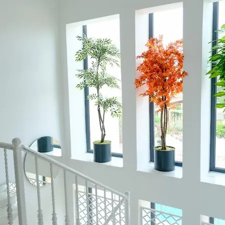 Wind Of Alaçatı Adult Only 13 Otel